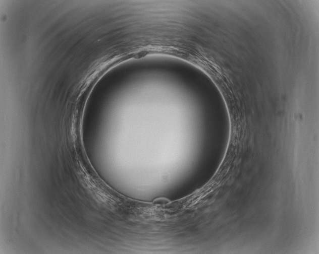 X0000086280098200703291511