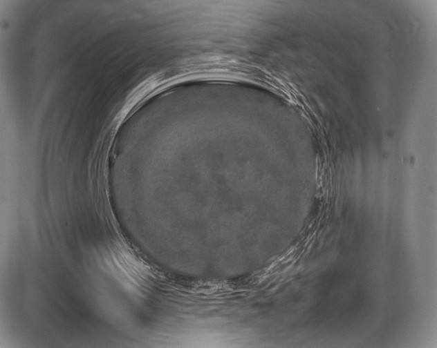 X0000086280099200703291511