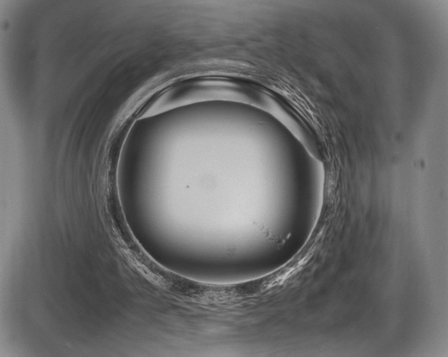 X0000086280101200703291511