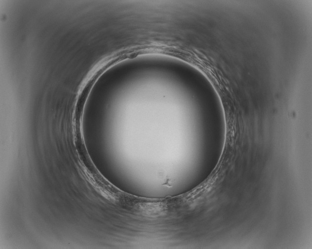 X0000086280102200703291511