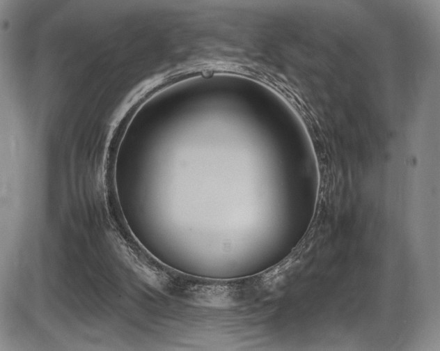 X0000086280104200703291511