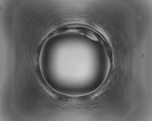 X0000086280105200703291511