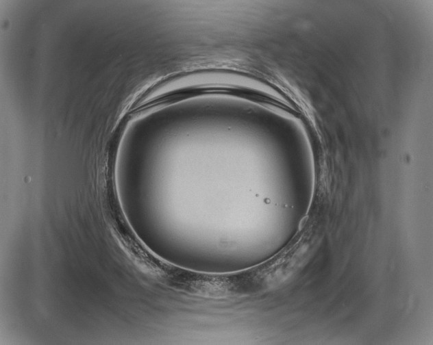 X0000086280107200703291511