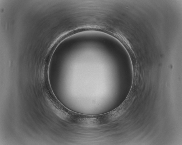 X0000086280108200703291511