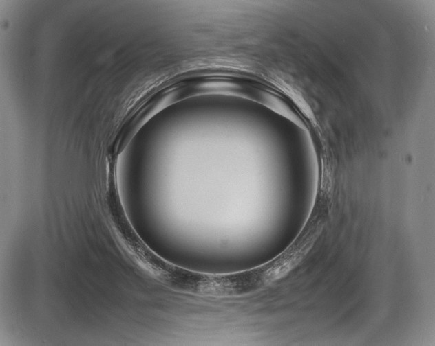 X0000086280109200703291511