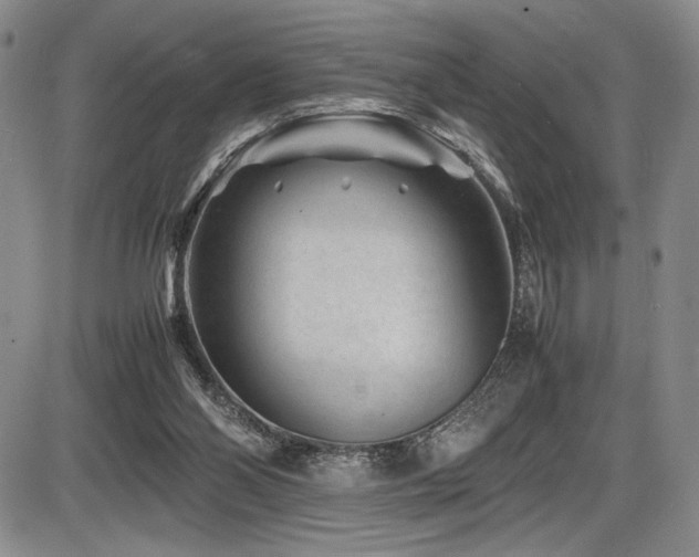 X0000086280110200703291511