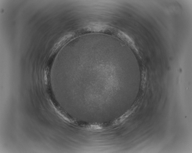 X0000086280114200703291511