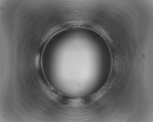 X0000086280118200703291511
