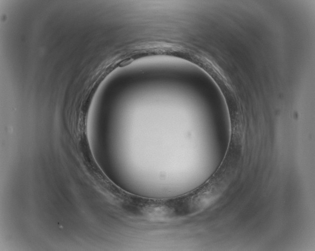 X0000086280119200703291511