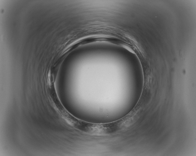 X0000086280121200703291511