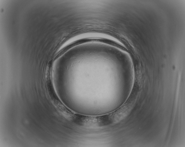 X0000086280123200703291511
