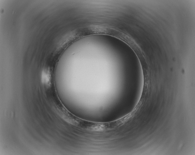 X0000086280124200703291511