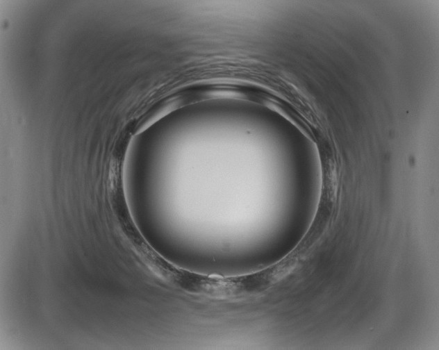 X0000086280125200703291511