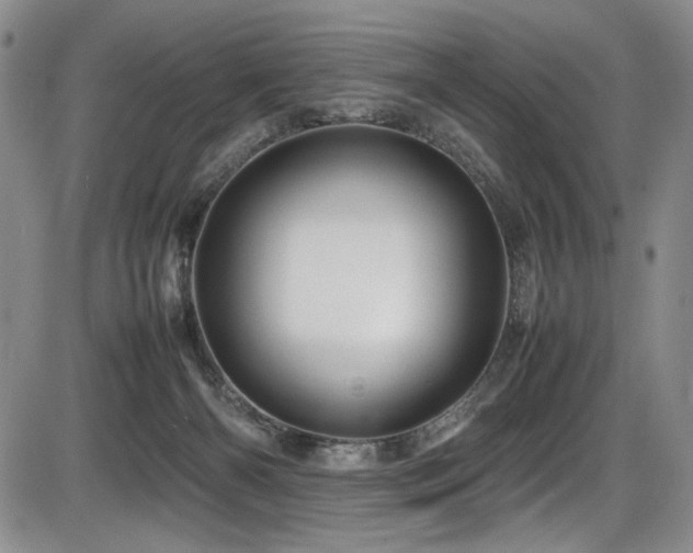 X0000086280126200703291511