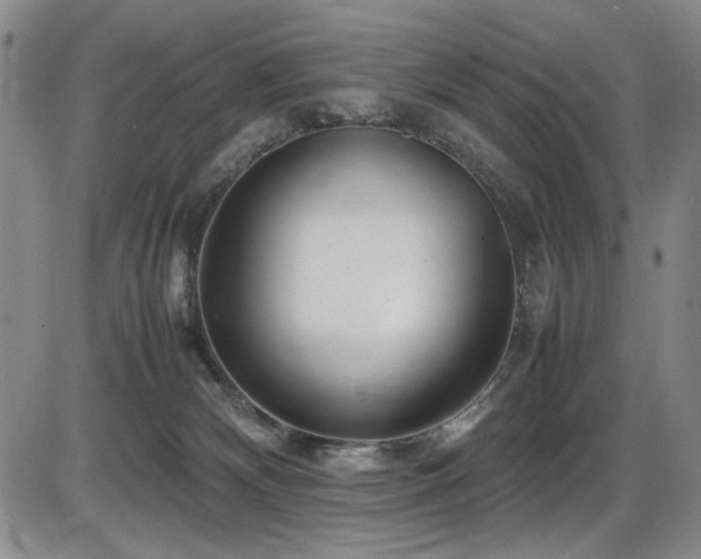 X0000086280132200703291511