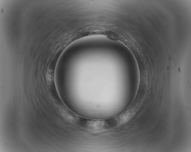 X0000086280135200703291511