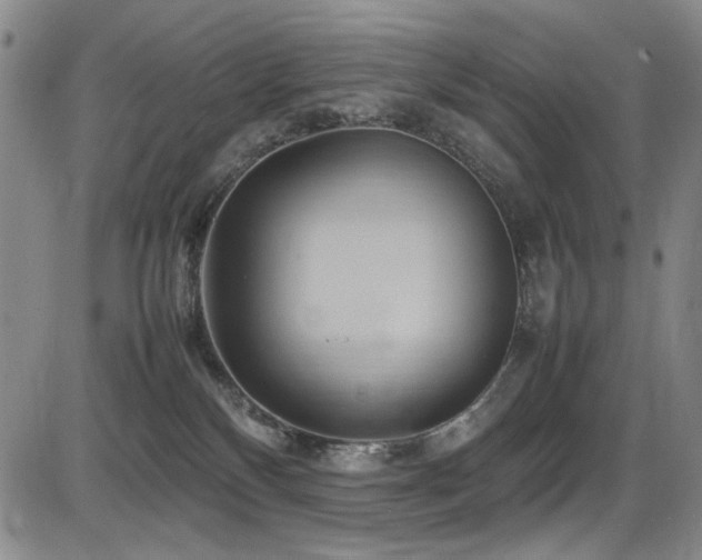 X0000086280136200703291511