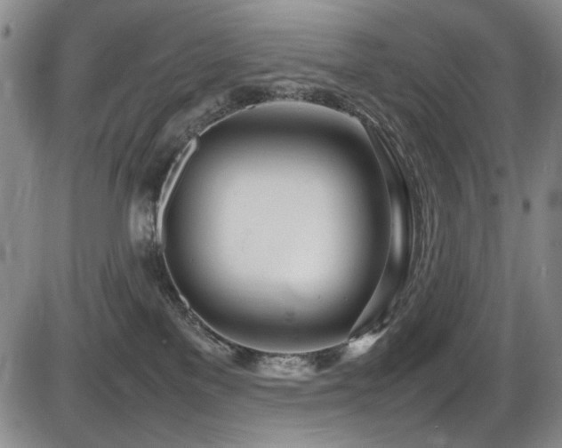X0000086280137200703291511