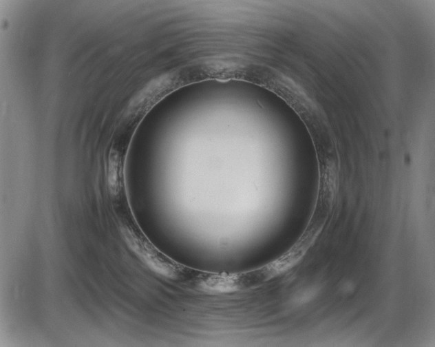 X0000086280138200703291511