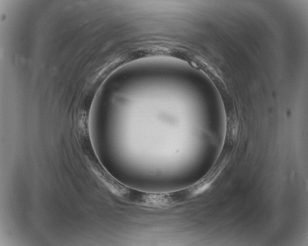 X0000086280141200703291511