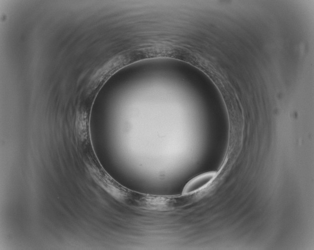 X0000086280144200703291511