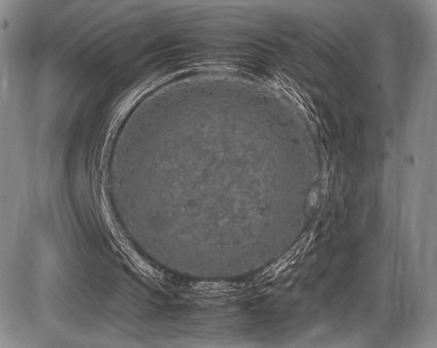 X0000086280145200703291510