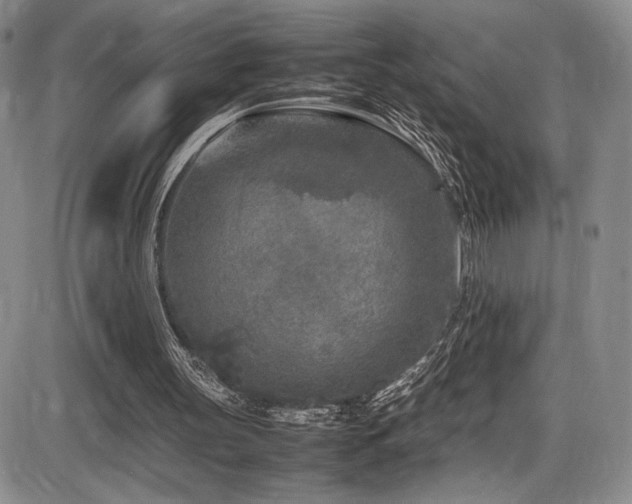 X0000086280147200703291510