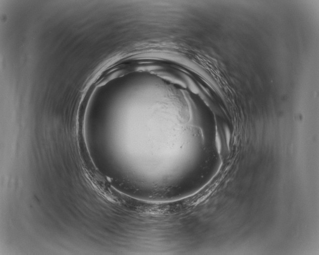X0000086280148200703291510