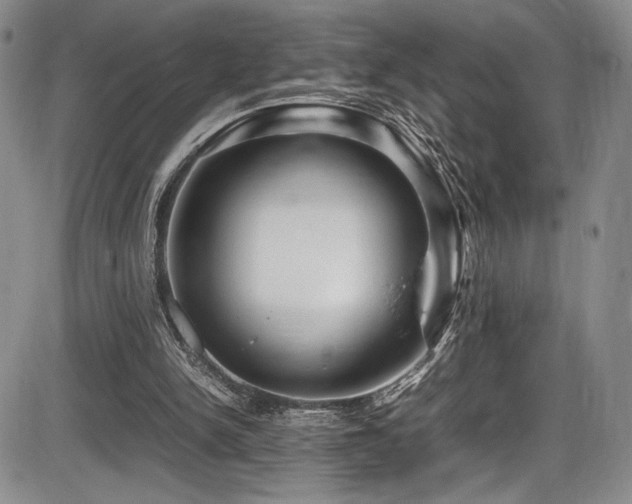 X0000086280150200703291510