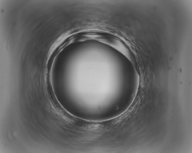X0000086280152200703291510