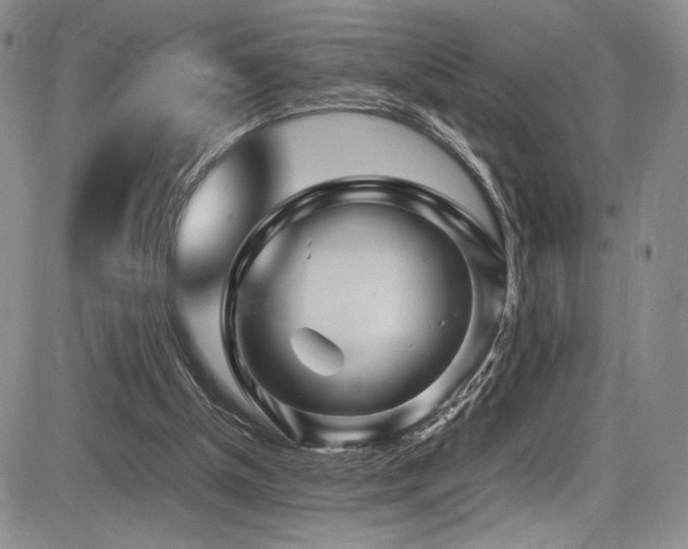 X0000086280154200703291510