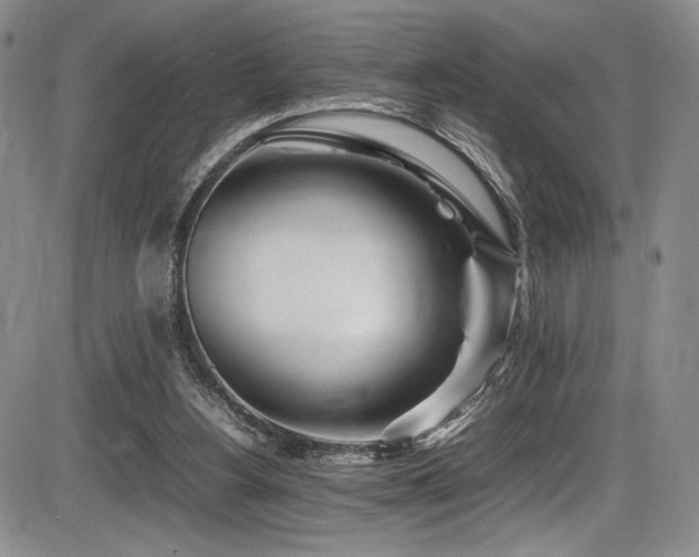 X0000086280156200703291510