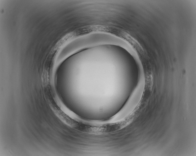 X0000086280158200703291510
