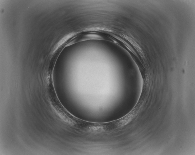 X0000086280160200703291510