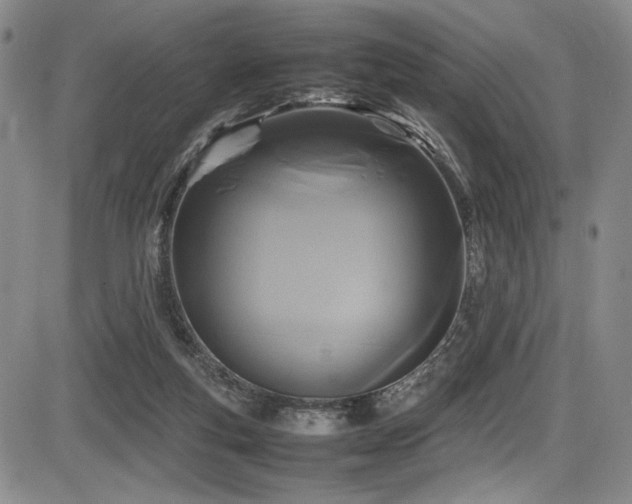X0000086280163200703291510