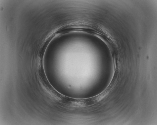 X0000086280164200703291510