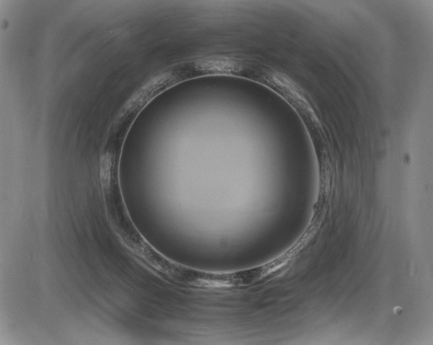 X0000086280167200703291510