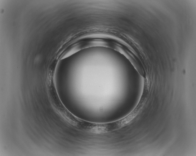 X0000086280168200703291510