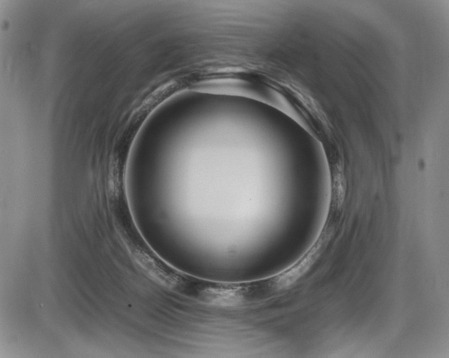 X0000086280170200703291510