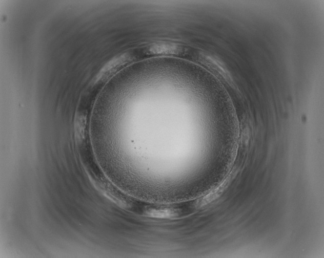 X0000086280171200703291510
