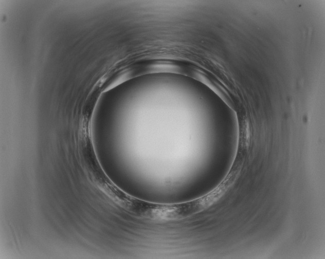 X0000086280172200703291510