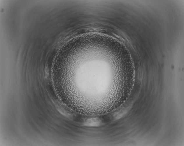 X0000086280173200703291510