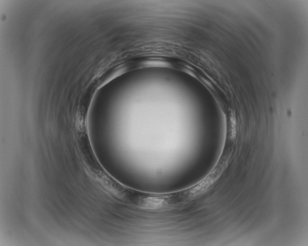 X0000086280176200703291510