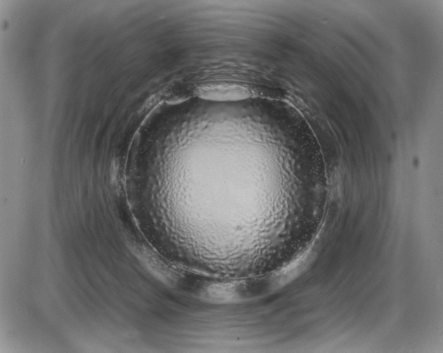 X0000086280178200703291510