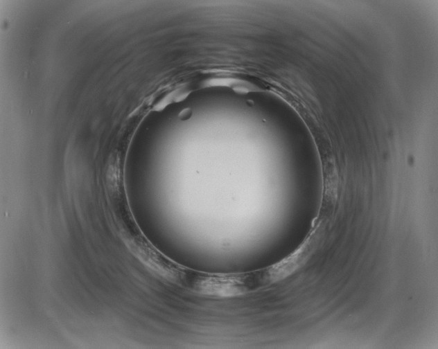 X0000086280179200703291510