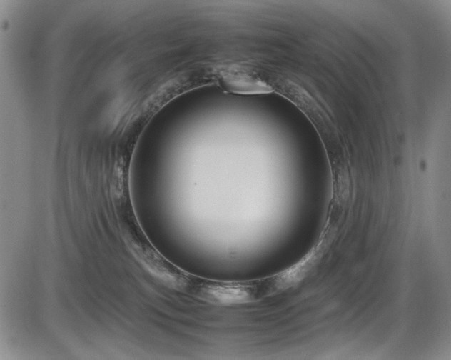X0000086280183200703291510
