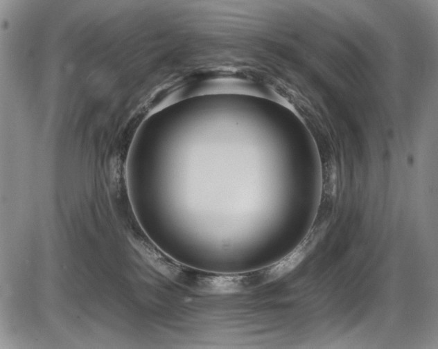 X0000086280184200703291510