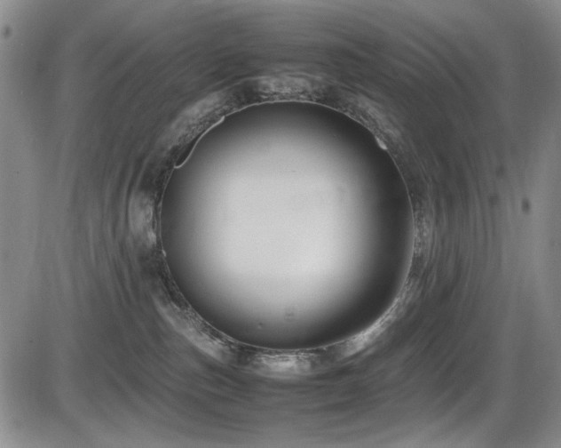X0000086280187200703291510