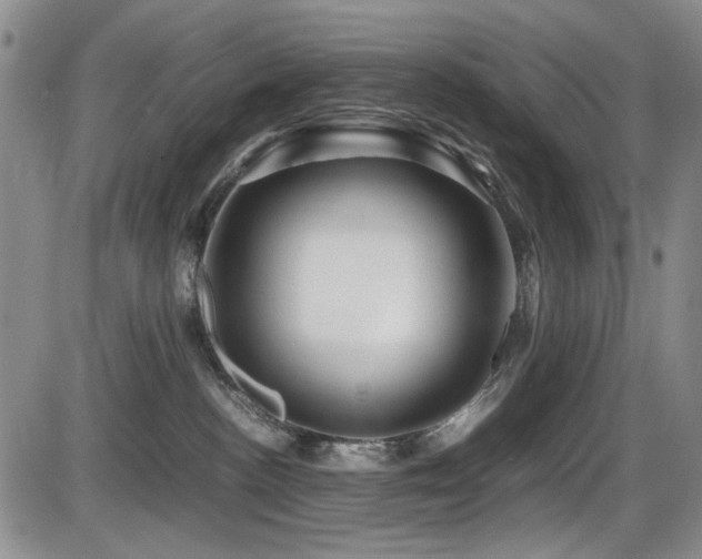 X0000086280188200703291511