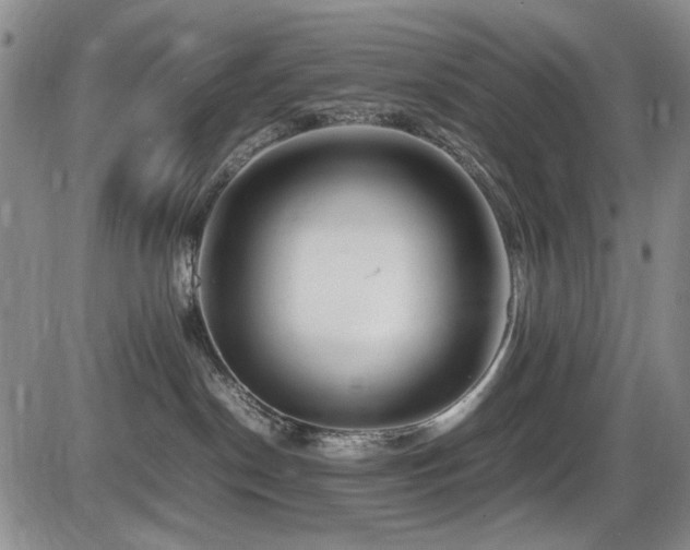 X0000086280190200703291511